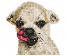 Chihuahua - Machine Embroidery Design | Chihuahua Puppy | Small Chihuahua Dog | Photo Stitch Dog Design | Digital File