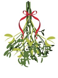 Decorative mistletoe branches with white berries illustration