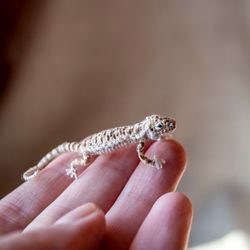 Bearded Dragon miniature, Tiny teeny handmade reptile lizard pet, Agama reptile gift for herpetologist, micro animal