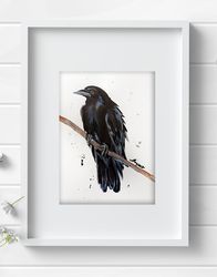 1 Crow 8x11 inch original watercolor raven art black birds raven painting by Anne Gorywine