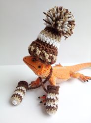 Bearded dragon Mittens and Hat, Inauguration Pet Mittens