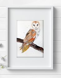 Common barn owl bird 8x11 inch original painting the white - faced owl art by Anne Gorywine
