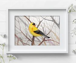 American goldfinch 8x11 inch original watercolor bird painting art by Anne Gorywine