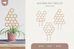 Honeycomb plant trellis svg, Houseplant stakes SVG