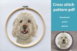 Cross Stitch Patterns Goldendoodle Dog