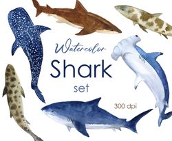 Watercolor clipart. Baby shark clipart. Shark Watercolor PNG.  Fish clipart animals. Poster, scrapbooking, stickers png