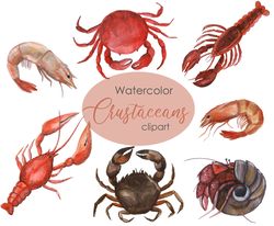 Watercolor Crustacean Clipart. Nautical Clipart. Hand drawn cute clipart crustacean theme with Shrimp, Crab, Lobster