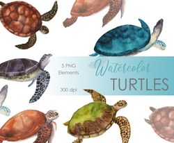 Watercolor Sea Turtles postcard. Watercolor ocean animals. Watercolor Turtle Clip art. Baby showers, nursery decor png