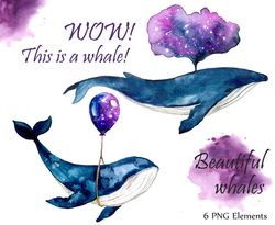 Watercolor Whale postcard clipart. Whale art sublimation. Ocean art png. Whale illustrartion. Humpback whales and starry
