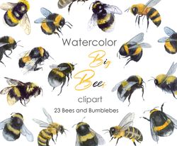 Bee clipart Watercolor insect art. Queen bee clipart Bumble bee postcard. Watercolor insects, little bee. Hand drawn