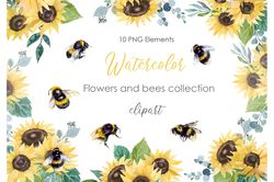Watercolor Sunflower postcadrd. Watercolor Clipart. Bumblebee clipart. Bee Png. Sunflower illustration. Insect png