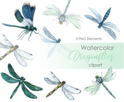 Watercolor dragonfly postcard. Insect clipart. Dragonfly Clipart Digital Dragonflies. Green dragonfly illustartions