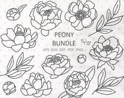 Peony Svg bundle Flower garden svg hand drawn peony plant flowers svg Floral Botanical Peony clip art wedding Peonies