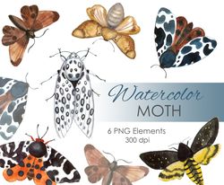 Watercolor moth postcart. Moth Boho butterfly set. Moths clip art. Moth postcard illustartion. Moth art postcard png
