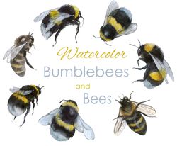 Bee postcard clipart. Bumble bee art. Watercolor Bumblebee illustartion art. Insects PNG. Bumble bee art insect postcard