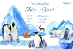 Watercolor holiday postcard. Arctic animal Winter clipart png. Watercolor winter print. Penguin illustration