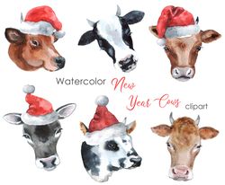 Christmas-cow-watercolor-Clipart. Christmas-animals-cow-with-santa-hats-poscard-png.  Hand-drawn-cute-clipart-christmas