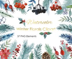 Watercolor Christmas Winter Florals Clipart. Merry Christmas. New year Holiday greenery leaves and flowers clip art. PNG