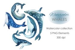 Watercolor Clipart. Whale Clipart. Ocean Clipart. Hand drawn cute clipart themed with humpback whales and starry sky.