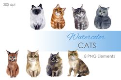 Watercolor Clipart. Cat Clipart. Digital pets clipart. Poster. Hand drawn cute cats clipart-themed with 8 cats.