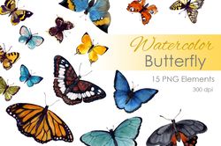 Watercolor Clipart. Watercolor digital clipart. Butterfly png. Butterfly Clip Art. Insect clipart. Tropical butterflyes