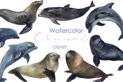 Watercolor illustrations. sea animals clipart. Dolphins and fur seals png. Watercolor postcard with polar clipart png