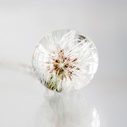 Small Dandelion - wishing necklace. Crystal clear resin globe pendant with natural dandelion flower. Make a wish sphere
