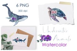 Watercolor Clipart. Sea Turtles. Ocean animals with flowers. Watercolor ocean animals clipart. Baby showers, nursery png