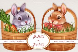 Rabbits in baskets. PNG clipart. Bunny PNG clipart
