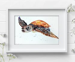 Sea Turtle Watercolor Wall Decor 8"x11" art painting by Anne Gorywine