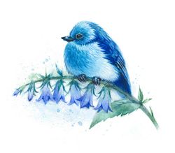 Blue Bird Watercolor Print, Blue Bird Watercolor Painting, Blue Bird Art Print