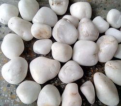 White Mix Pebbles Size About 8 Cm Mix (3.3 Lbs ) Pack For Gardening , Outdoor Decorations & Plant Decor