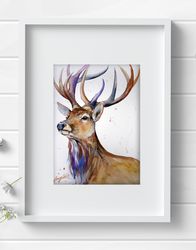 Original watercolor painting, deer animal, elk art, not print by Anne Gorywine