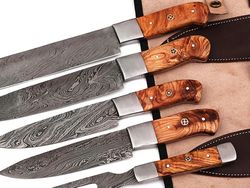 Professional Kitchen Knives Sets Damascus steel Knife sets of 5 PCs
