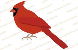 Cardinal bird svg Cardinal bird png Cardinal bird clipart Cardinal bird vector Cardinal bird cut file Cardinal cricut