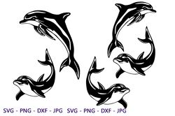 Dolphin SVG, Swimming dolphins PNG, Jumping dolphins, cricut silhouette cutfile, instant download