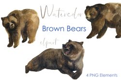 About Watercolor Bear Clipart, Cute Forest Png Graphic, Use for a drawn artwork to make your own unique postcards