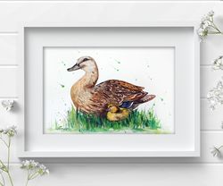 Mallard with ducklings original birds watercolor 8x11 inch bird painting duck, watercolor art by Anne Gorywine