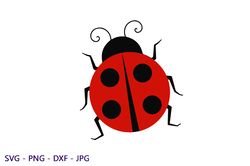 Ladybug Svg, Digital Download for and Silhouette, Insect Svg, Files, Svg, Silhouette Files, Cricut, svg