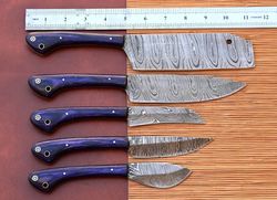 Professional Chef Knives Set Damascus steel Knife sets of 5 PCs