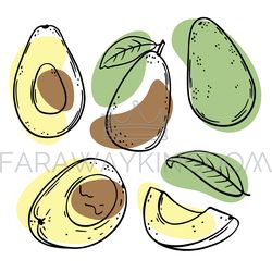 AVOCADO Delicious Fruit Sketch Style Vector Illustration Set