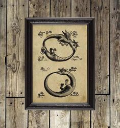 Two Ouroboros from an ancient alchemical treatise. Vintage snake reproduction. 91.