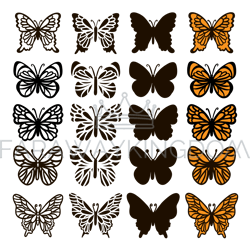 BUTTERFLY SET Monochrome Insect Sketch Vector Collection