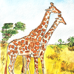 giraffe original watercolor painting animal original art white line drawing african landscape wall art artwork 7 by 5