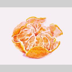 Mandarin Painting Fruit Painting Tangerine Original Art Still Life Artwork Fruit Painting Tangerine Peel Art Watercolor