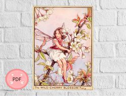 Cross Stitch Pattern,The Wild Cherry Blossom Fairy ,Pdf , Instant Download , Cicely Mary Barker, Flower Fairy