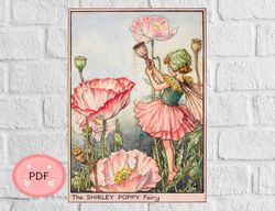 Cross Stitch Pattern,The Shirley Poppy Fairy , Pdf , Instant Download , Cicely Mary Barker ,Flower Fairies