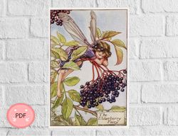 Cross Stitch Pattern,The Elderberry Fairy , Pdf, Instant Download , Flower Fairy,Cicely Mary Barker