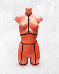 Harness Set, harness lingerie, harness bra, cage bra, strappy, bdsm lingerie, harnesses, harness belt, garters