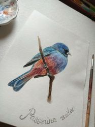 Watercolor drawing of a bird Pink oatmeal cardinal